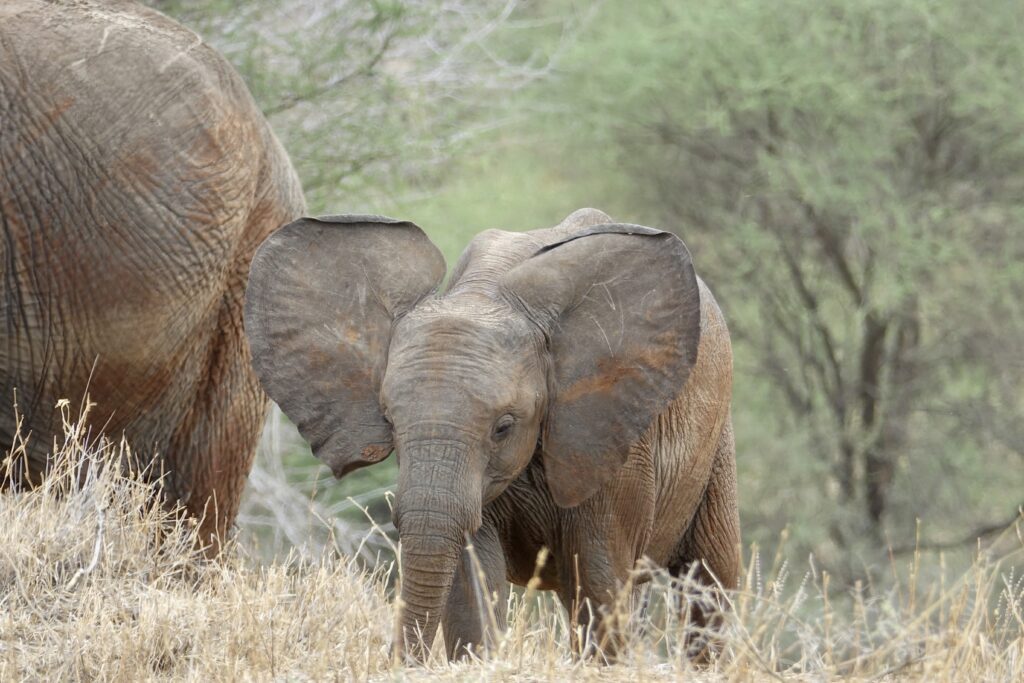 A green and blue clock with the time 1 2 : 3 0.