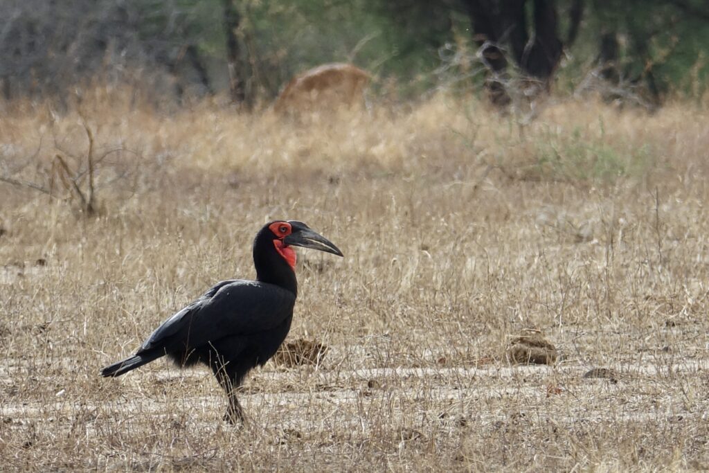 A green and blue clock with the time 1 2 : 3 0.
