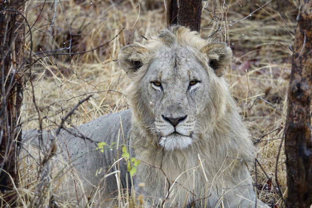 A green and blue clock with the time 1 2 : 3 0.