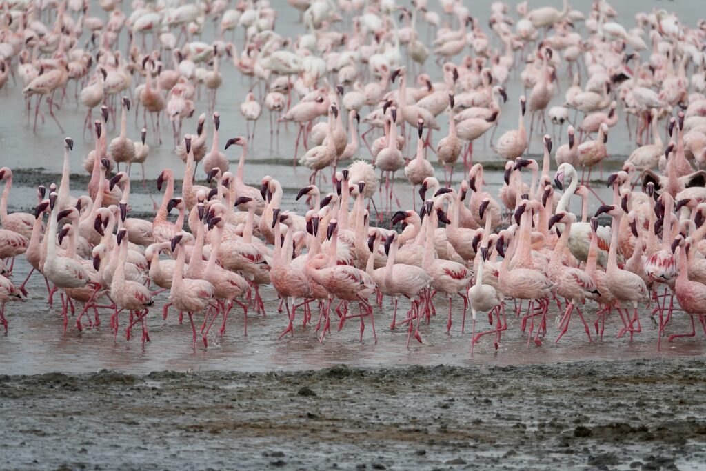 A green and blue clock with the time 1 2 : 3 0.