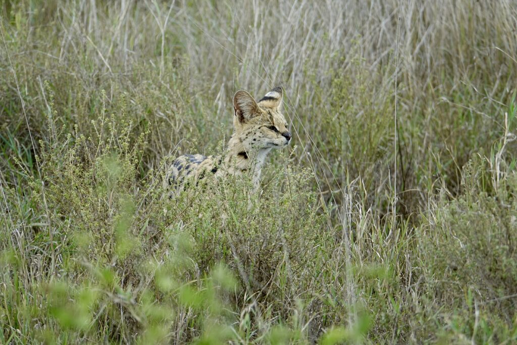 A green and blue clock with the time 1 2 : 3 0.