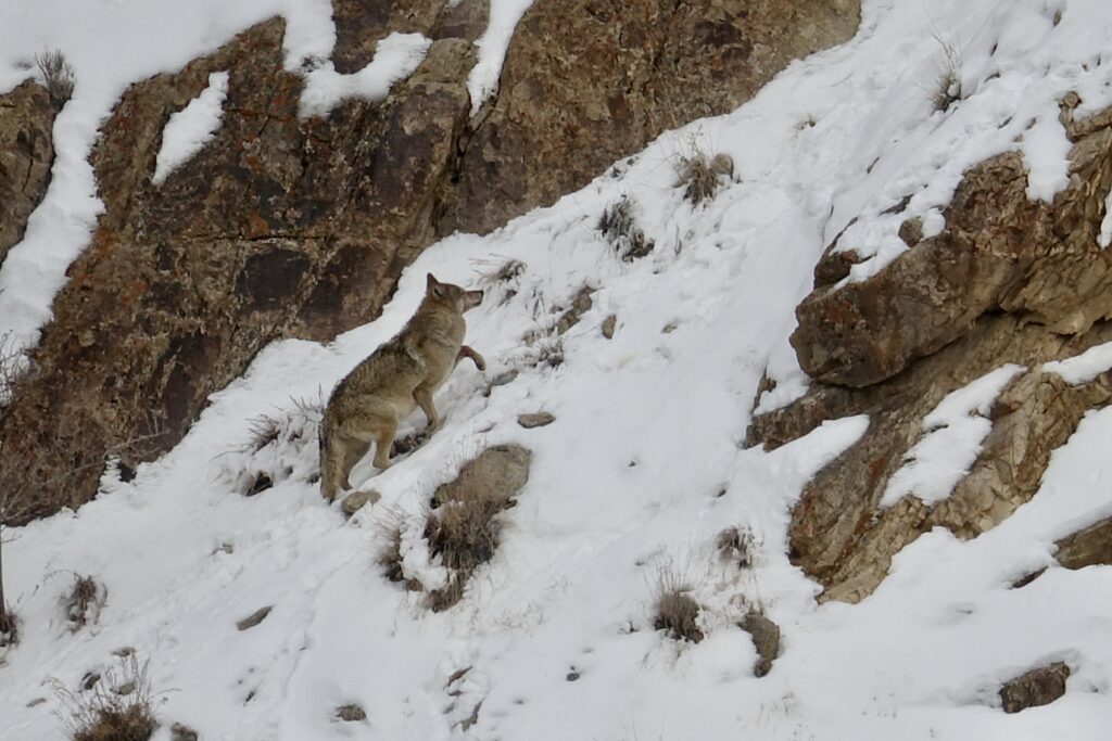 A green and blue clock with the time 1 2 : 3 0.