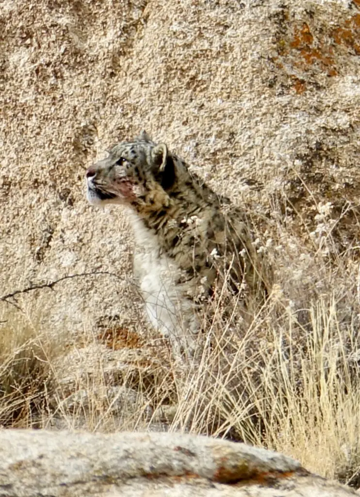 A green and blue clock with the time 1 2 : 3 0.