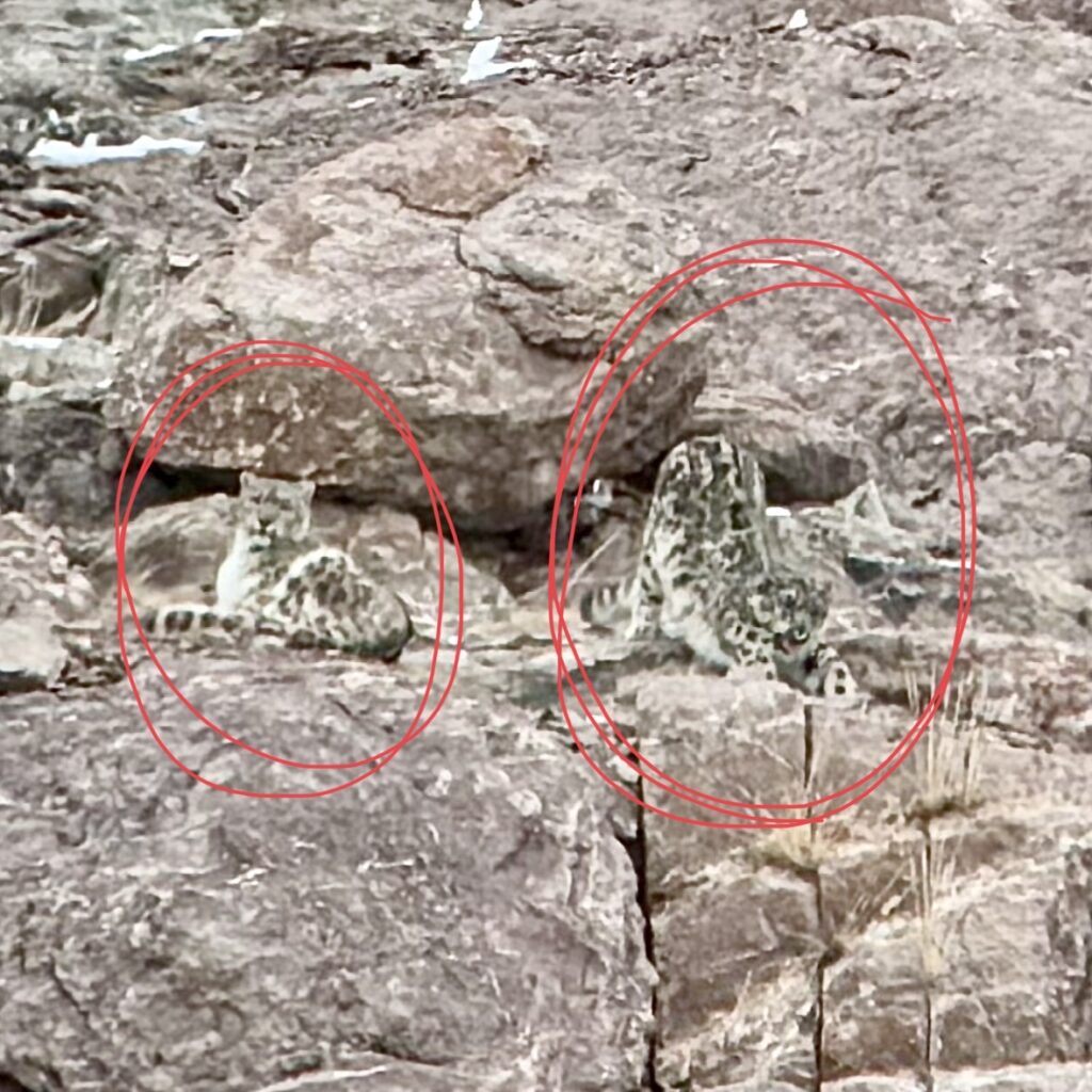 A green and blue clock with the time 1 2 : 3 0.