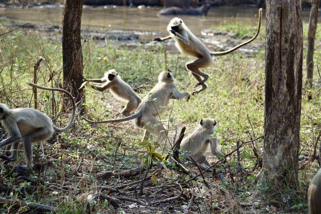 A green and blue clock with the time 1 2 : 3 0.