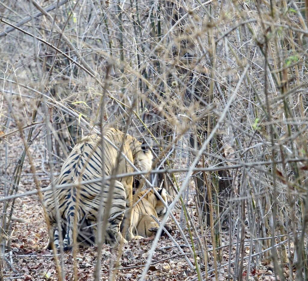 A green and blue clock with the time 1 2 : 3 0.