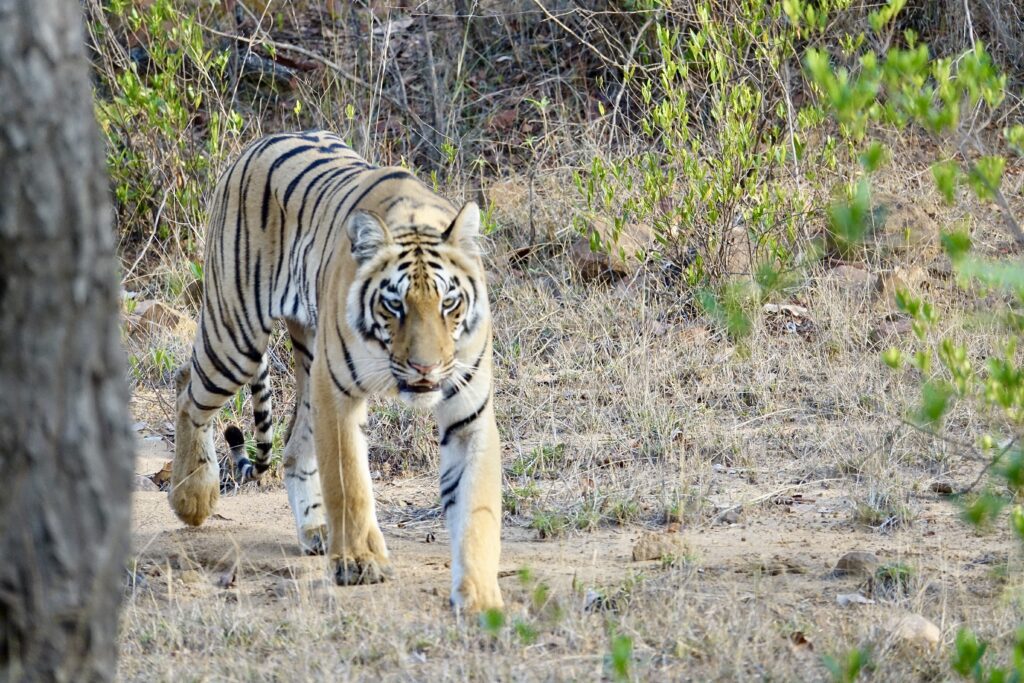 A green and blue clock with the time 1 2 : 3 0.