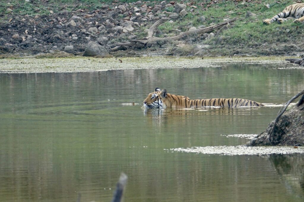 A green and blue clock with the time 1 2 : 3 0.
