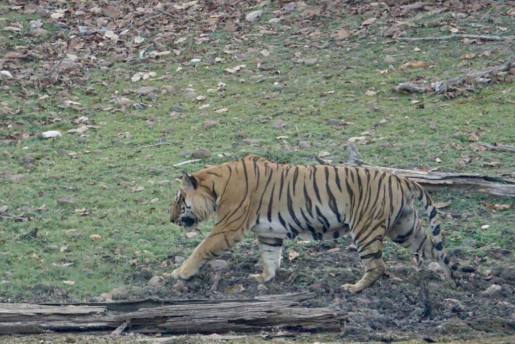 A green and blue clock with the time 1 2 : 3 0.