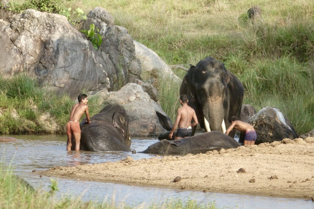 A green and blue clock with the time 1 2 : 3 0.
