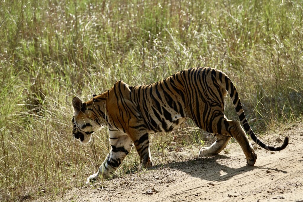 A green and blue clock with the time 1 2 : 3 0.