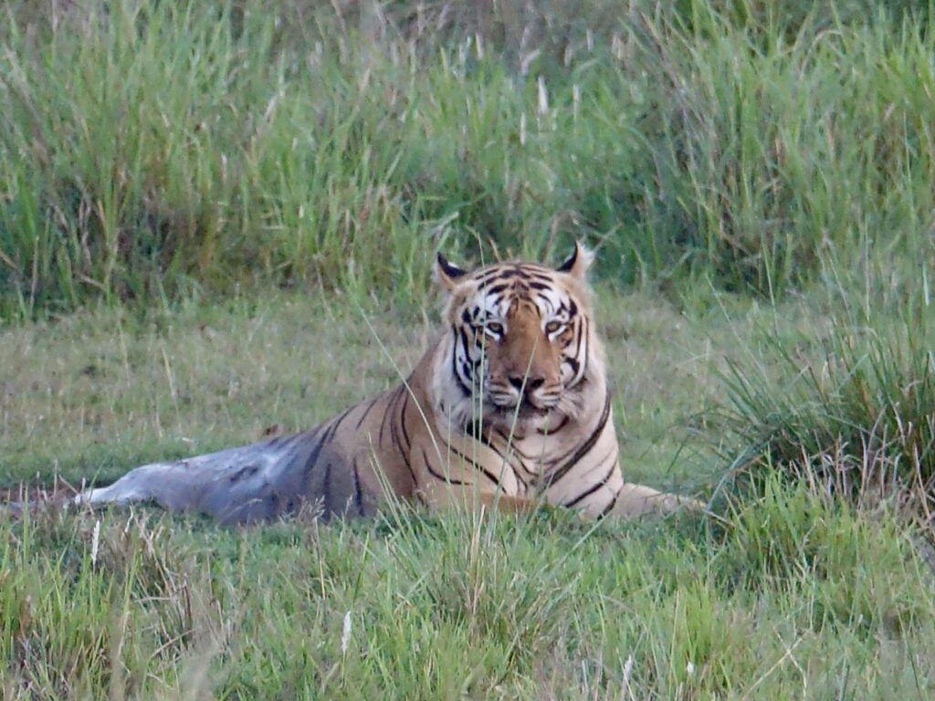 A green and blue clock with the time 1 2 : 3 0.