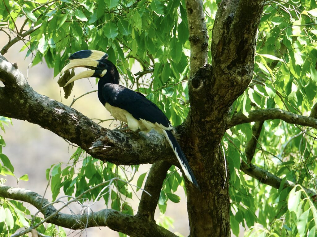 A green and blue clock with the time 1 2 : 3 0.
