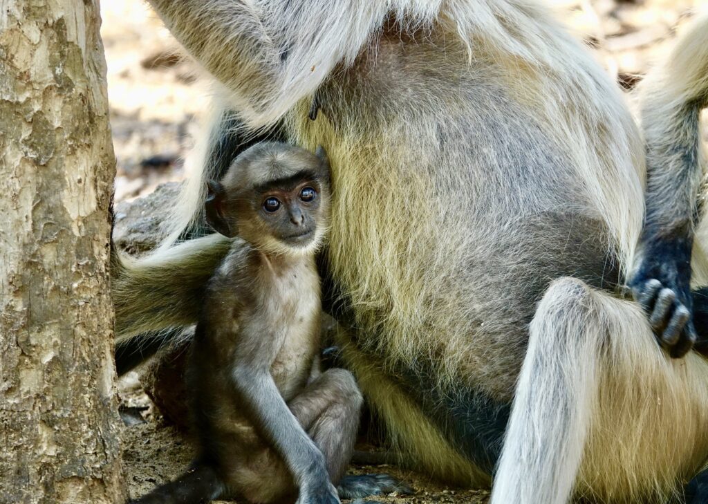 A green and blue clock with the time 1 2 : 3 0.