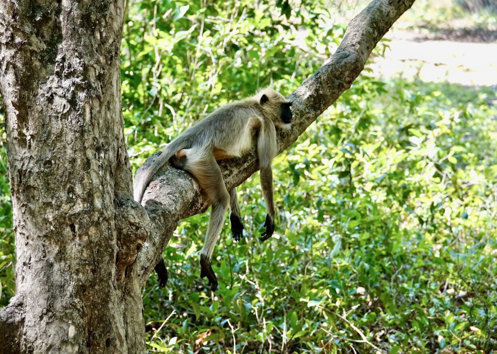 A green and blue clock with the time 1 2 : 3 0.