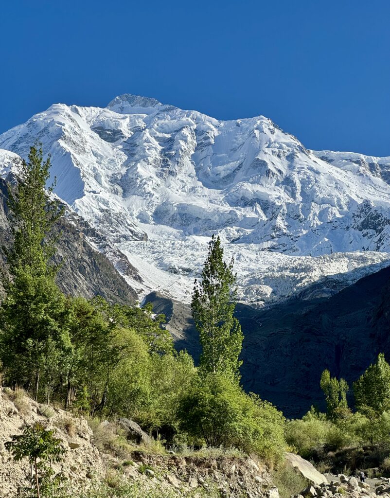 A mountain with snow on it and trees in the foreground.